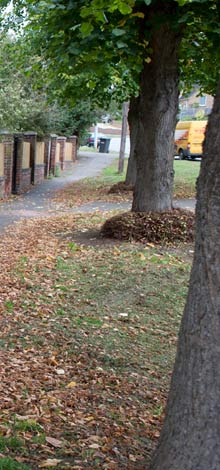SMITH PROPERTY MAINTENANCE & REPAIRS
